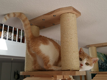 Bild von Filomeno