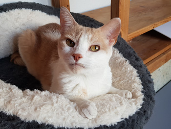 Bild von Filomeno