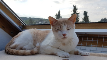 Bild von Filomeno