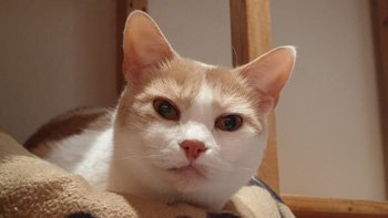 Bild von Filomeno