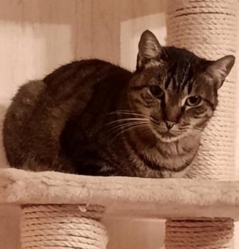 Simon Bild von Simon