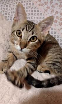 Hades Bild von Hades