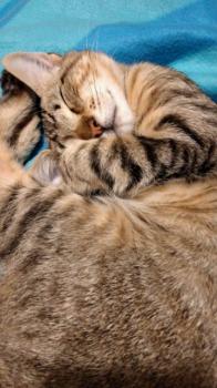 Hades Bild von Hades