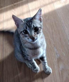 Hades Bild von Hades