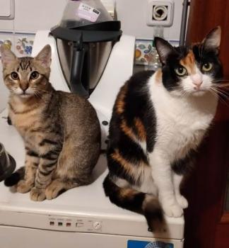 Hades Bild von Hades