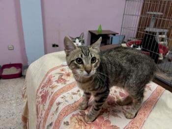 Hades Bild von Hades