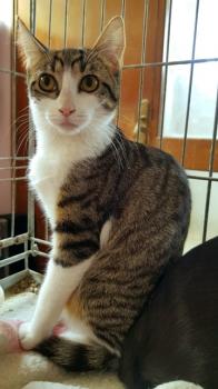 Bufy Bild von Bufy