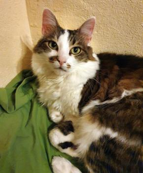 Suzette Bild von Suzette