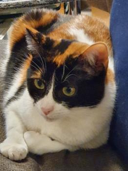 Loulou Bild von Loulou