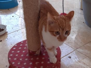 Timber Bild von Timber