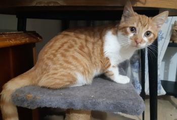 Timber Bild von Timber