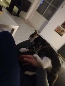 Tisha Bild von Tisha