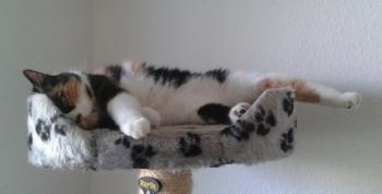 Momo Bild von Momo