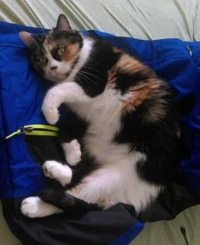 Momo Bild von Momo