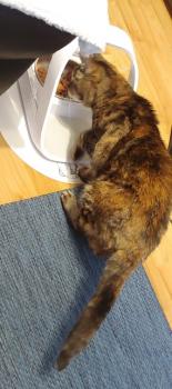 Fame Bild von Fame