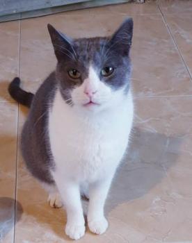 Oskar Bild von Oskar