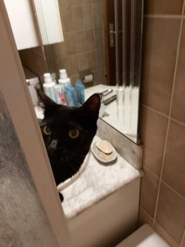 Blacky Bild von Blacky