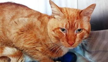 Fritz Bild von Fritz