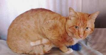 Fritz Bild von Fritz