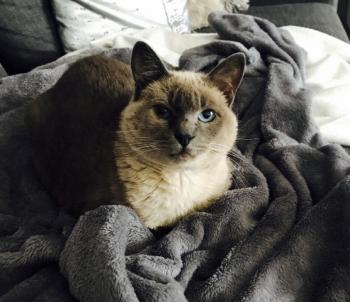 Sammy Bild von Sammy