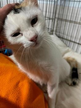 Manchitas Bild von Manchitas