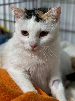 Manchitas Bild von Manchitas