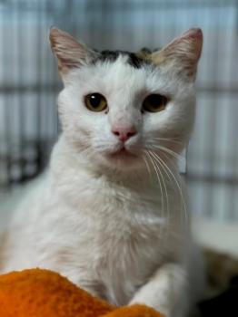 Manchitas Bild von Manchitas