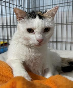 Manchitas Bild von Manchitas