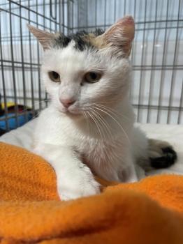 Manchitas Bild von Manchitas