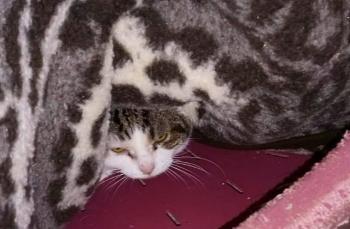Tina Bild von Tina