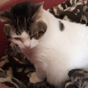 Tina Bild von Tina