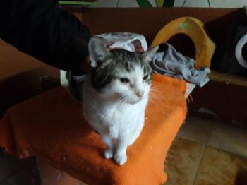 Tina Bild von Tina