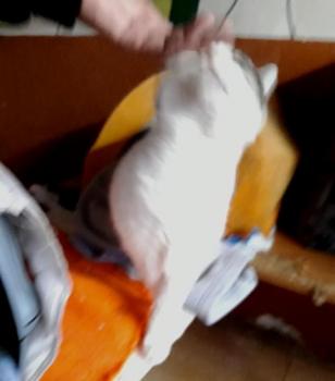 Tina Bild von Tina