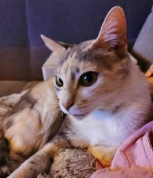 La Guapa Bild von La Guapa