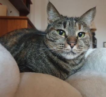 Sara Bild von Sara