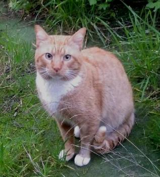 Fritz Bild von Fritz