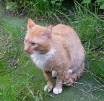 Fritz Bild von Fritz
