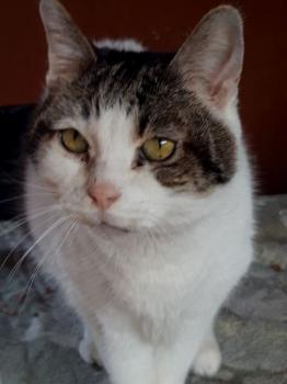 Tina Bild von Tina