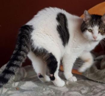 Tina Bild von Tina