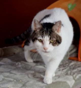 Tina Bild von Tina
