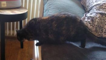 Doris Bild von Doris