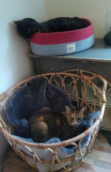 Doris Bild von Doris