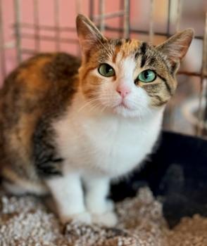 Nancy Bild von Nancy