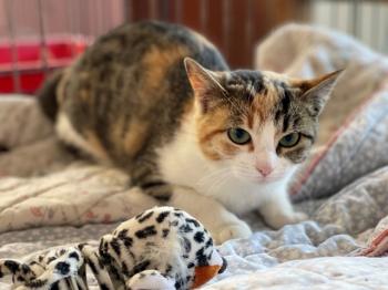 Nancy Bild von Nancy