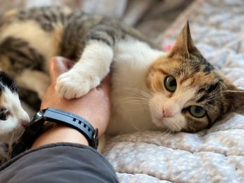 Nancy Bild von Nancy