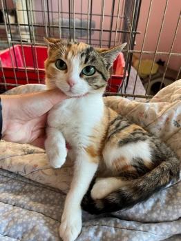 Nancy Bild von Nancy