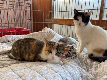 Nancy Bild von Nancy