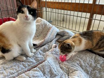 Nancy Bild von Nancy