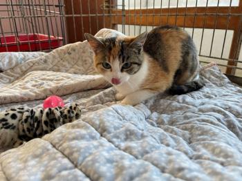 Nancy Bild von Nancy