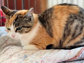 Nancy Bild von Nancy